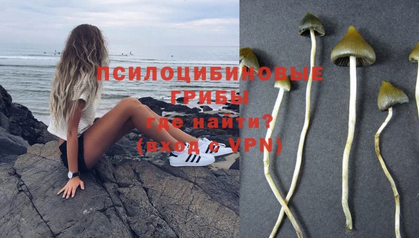 ГАЛЛЮЦИНОГЕННЫЕ ГРИБЫ Белокуриха